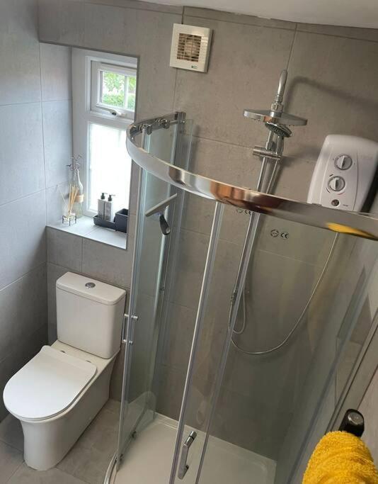Netherton Studio Apartment 2 Rhôs-on-Sea Eksteriør bilde